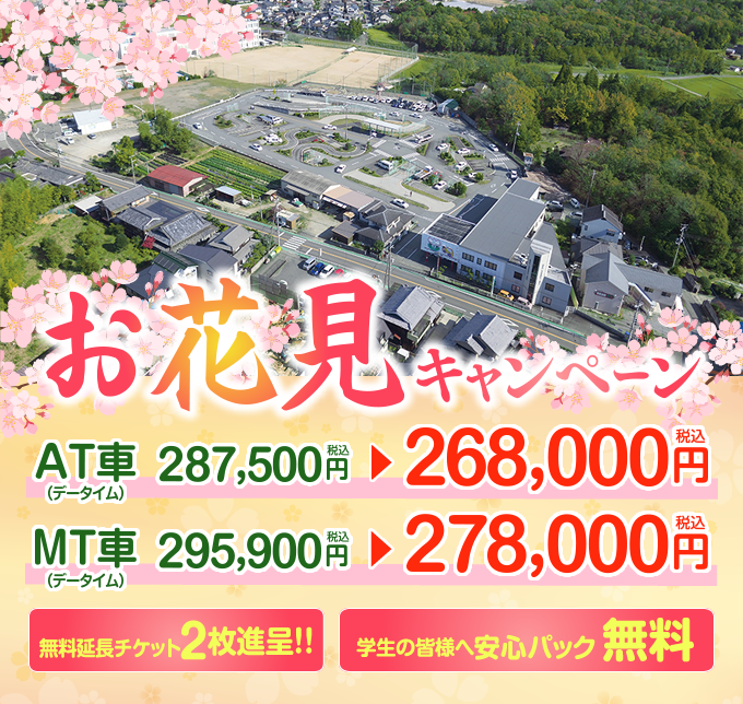 お花見キャンペーン
