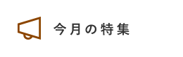 キャンペーン情報